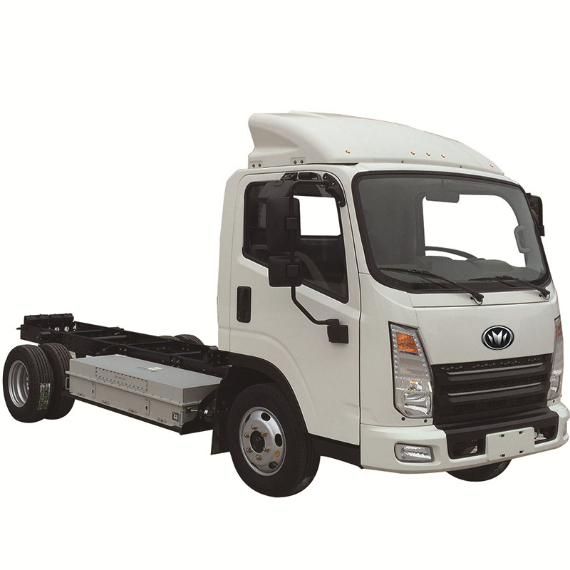 Camión Eléctrico 5TEV