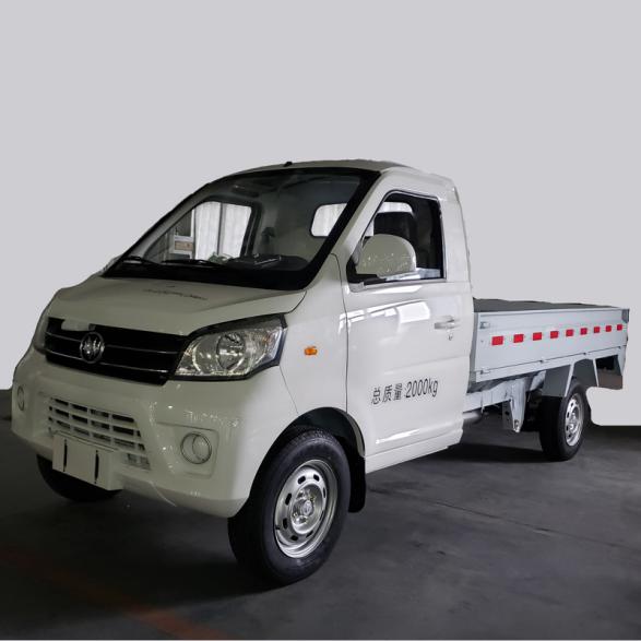 N30 Gasoline Mini Truck