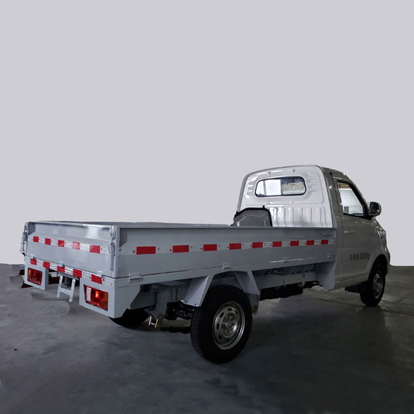 N30 Mini Truck